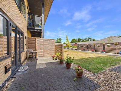 Picture 12
